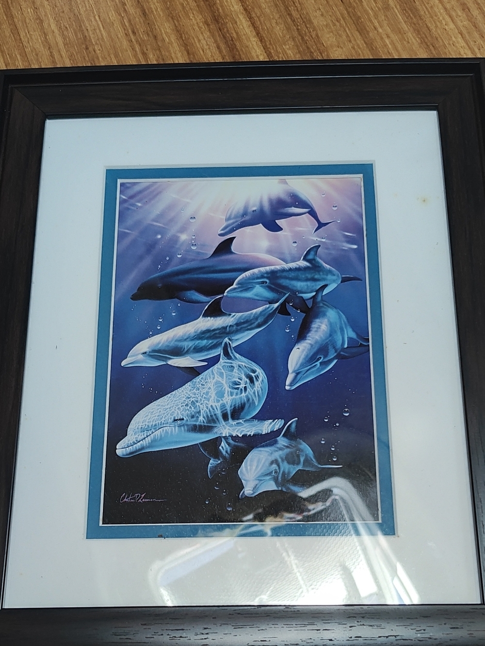 Christian Riese Lassen Dolphin Dreams Print